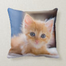 Suche nach blaue augen kissen Haustiere