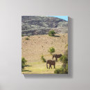 Suche nach elefanten leinwandbilder Landschaft