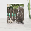 Suche nach leinen karten Vertikal