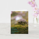 Suche nach schildkröte und hasen karten Niedlich