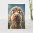 Suche nach labradoodle karten Hundshund
