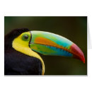 Suche nach schwefel postkarten Vogel