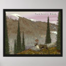 Suche nach karibu poster Tiere