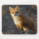 Suche nach niedlicher fuchs mousepads Wild