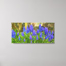 Suche nach trauben leinwandbilder Blume