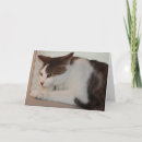 Suche nach haben sie guten tag karten Gruß