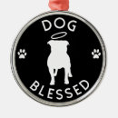 Suche nach pitbull ornamente Amerikanischer pitbullterrier