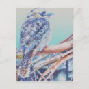 Suche nach kookaburra poster Federn