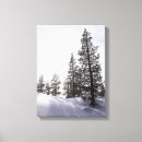 Suche nach kalifornien staat poster California