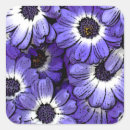 Suche nach seeanemone aufkleber Natur