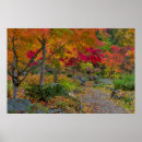 Suche nach ahorn poster Herbst