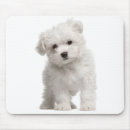 Suche nach maltesisch mousepads Maltese