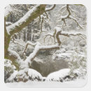 Suche nach japanischer ahorn aufkleber Acer