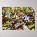 Suche nach miniature poster Natur