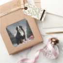 Suche nach sennenhund aufkleber Weihnachten