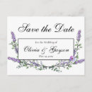 Suche nach lavendel blumen postkarten Elegant