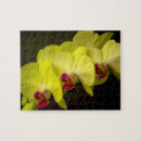 Suche nach orchid puzzle Blüte