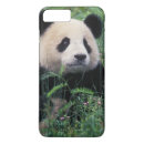 Suche nach keren su Asien