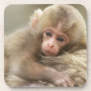 Suche nach primate untersetzer Baby