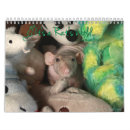 Suche nach für eier kalender Ratten