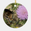 Suche nach schwarzer schmetterling ornamente Schwarzes