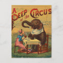 Suche nach vintager zirkus postkarten Elefant
