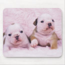 Suche nach englische bulldoggen mousepads Horizontal