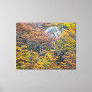 Suche nach herbst leinwandbilder Fotografie