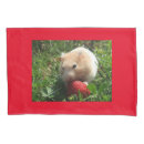 Suche nach hammie Haustier