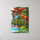 Suche nach tropische vögel leinwandbilder Wandkunst