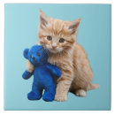 Suche nach kitten fliesen Tabelle