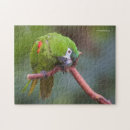 Suche nach hahn puzzle Rot