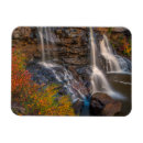 Suche nach strom magnete Rückgang