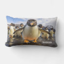 Suche nach lustiger pinguin kissen Niedlich