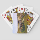 Suche nach schafe spielkarten Lamm