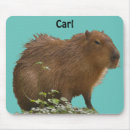 Suche nach capybara mousepads Wild