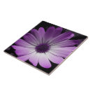 Suche nach lila blume fliesen Griechen