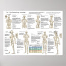 Suche nach m poster Gesundheit