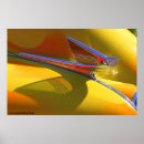 Suche nach automobil poster Classic