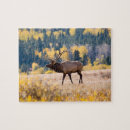 Suche nach rocky mountain national park puzzle Gegner