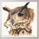 Suche nach eurasier poster Vogel