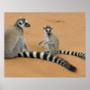 Suche nach mutter afrika poster Wild