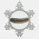 Suche nach gurken ornamente Pflücken