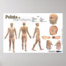 Suche nach meridian poster Akupressur