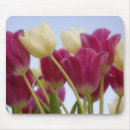 Suche nach weiße tulpen mousepads Frühling
