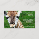 Suche nach wilde giraffe visitenkarten Zoo