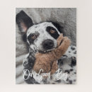 Suche nach haustier puzzle Foto