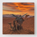 Suche nach steppen poster Natur