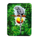 Suche nach madagaskar magnete Natur