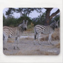 Suche nach zebras elektronik zubehör Streifen